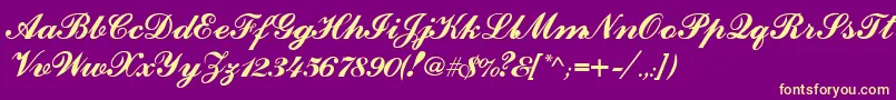 CounselorscriptMedium Font – Yellow Fonts on Purple Background