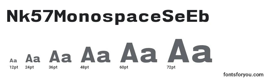 Размеры шрифта Nk57MonospaceSeEb