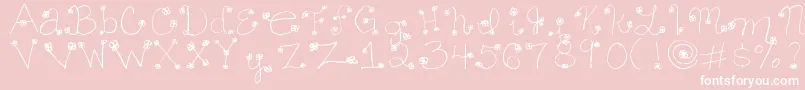 Daisy ffy Font – White Fonts on Pink Background