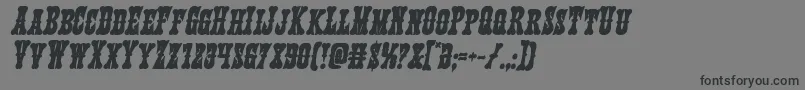 Texasrangerboldital Font – Black Fonts on Gray Background