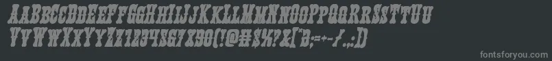 Texasrangerboldital Font – Gray Fonts on Black Background