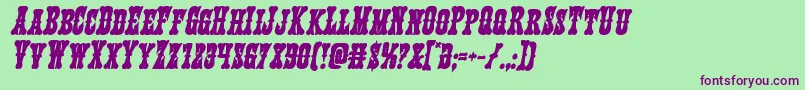 Texasrangerboldital Font – Purple Fonts on Green Background