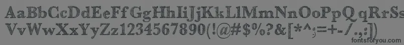 Libro Font – Black Fonts on Gray Background