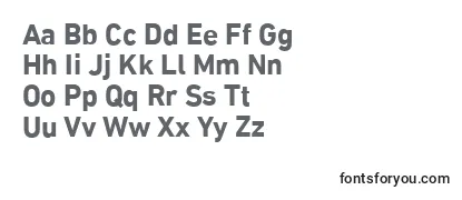 Review of the DinNextLtArabicBold Font