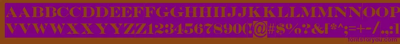 SerifertitulslBold Font – Purple Fonts on Brown Background