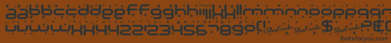 SfTechnodelightBold Font – Black Fonts on Brown Background