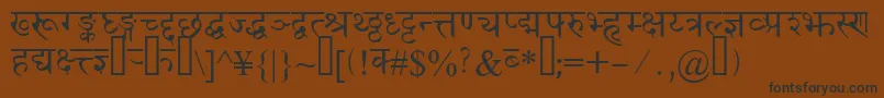 Devanagaridelhissk Font – Black Fonts on Brown Background