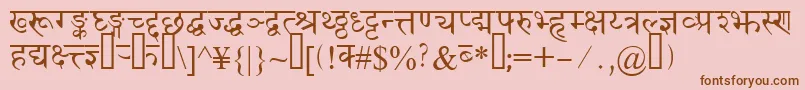 Devanagaridelhissk Font – Brown Fonts on Pink Background