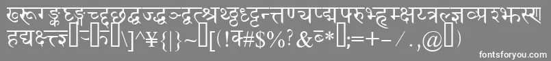 Devanagaridelhissk Font – White Fonts on Gray Background