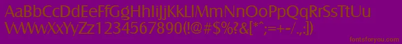 More about SalzburgRegular Font SalzburgRegular Font – Brown Fonts on Purple Background