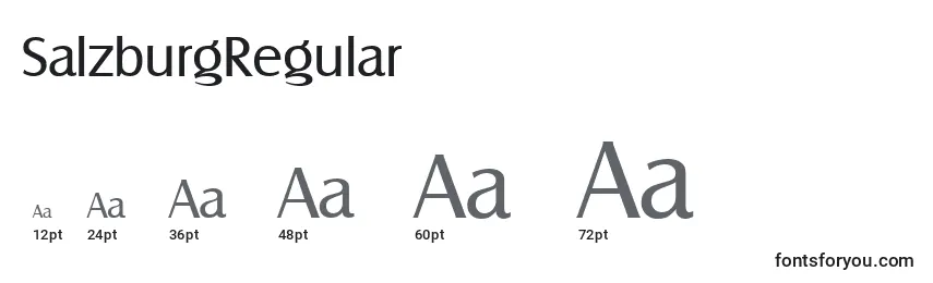 Размеры шрифта SalzburgRegular