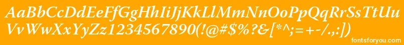 WarnockproSemiboldit Font – White Fonts on Orange Background