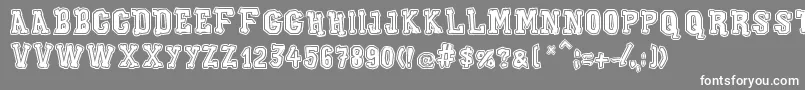 XiloGaldinoOutline Font – White Fonts on Gray Background