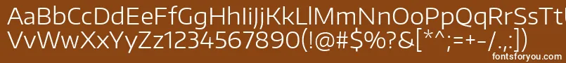 Шрифт EncodesanswideLight – белые шрифты на коричневом фоне