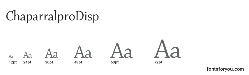 Размеры шрифта ChaparralproDisp