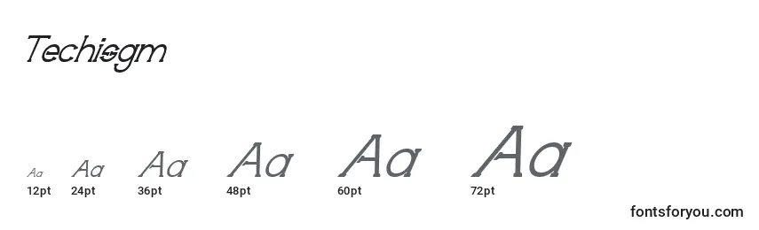 Techisgm Font Sizes