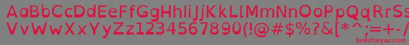 OpendyslexicaltaRegular Font – Red Fonts on Gray Background