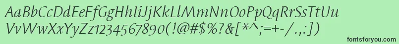 SyndorOsItcTtBookitalic Font – Black Fonts on Green Background