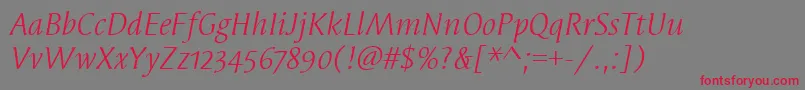 SyndorOsItcTtBookitalic-Schriftart – Rote Schriften auf grauem Hintergrund