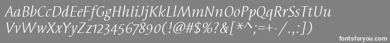 SyndorOsItcTtBookitalic Font – White Fonts on Gray Background