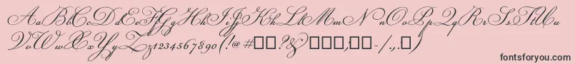 Champignon Font – Black Fonts on Pink Background