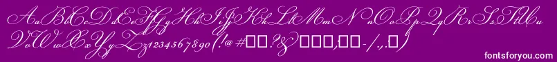 Champignon Font – White Fonts on Purple Background