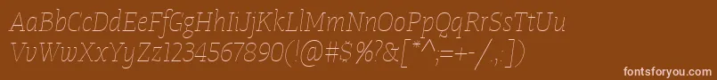 TangerserifnarrowulUltralightitalic Font – Pink Fonts on Brown Background