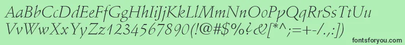 StempelSchneidlerLtLightItalic Font – Black Fonts on Green Background
