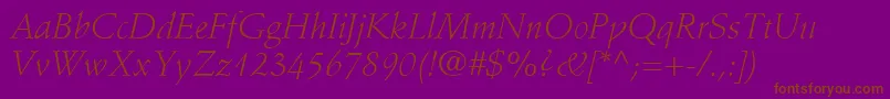 StempelSchneidlerLtLightItalic Font – Brown Fonts on Purple Background