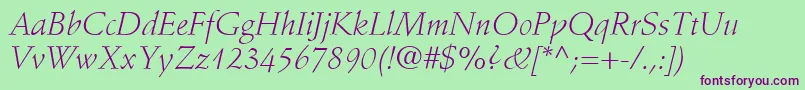 StempelSchneidlerLtLightItalic Font – Purple Fonts on Green Background
