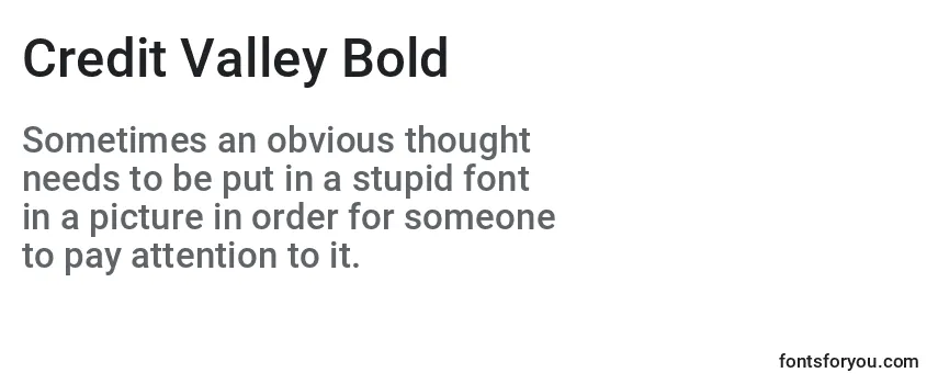 Credit Valley Bold Font
