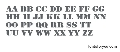 Review of the ArmyWide Font
