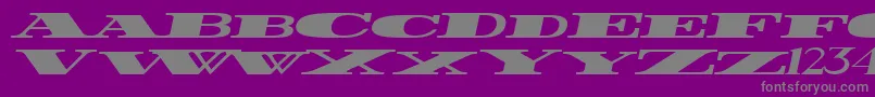FatestWidestItalic Font – Gray Fonts on Purple Background