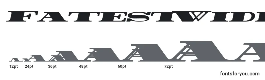 FatestWidestItalic Font Sizes
