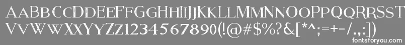 フォントModernSerifEroded – 灰色の背景に白い文字