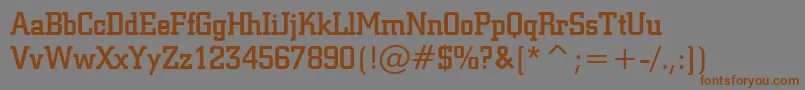フォントSquareSlabserif711MediumBt – 茶色の文字が灰色の背景にあります。