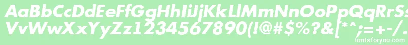 AFuturicaExtrabolditalic Font – White Fonts on Green Background