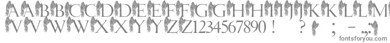 フォントJmhAngelusI – 白い背景に灰色の文字
