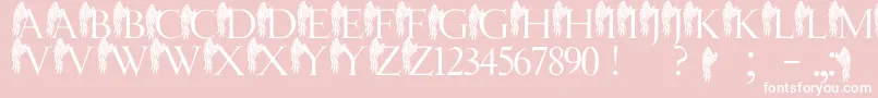 JmhAngelusI Font – White Fonts on Pink Background