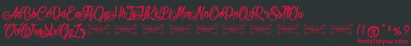 Seasider Font – Red Fonts on Black Background