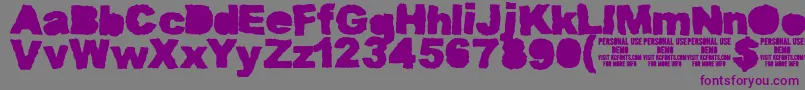 フォントMuddytractorsoliddemoKcfonts – 紫色のフォント、灰色の背景