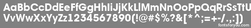 AAvantebsExtrabold Font – White Fonts on Gray Background