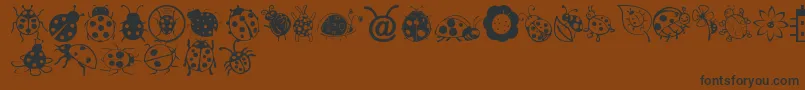 LadybugDings Font – Black Fonts on Brown Background