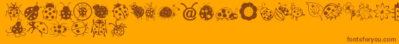 LadybugDings Font – Brown Fonts on Orange Background