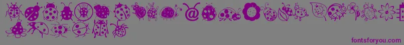 LadybugDings-Schriftart – Violette Schriften auf grauem Hintergrund