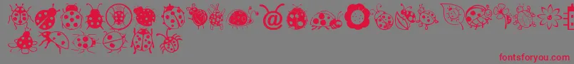 LadybugDings-fontti – punaiset fontit harmaalla taustalla