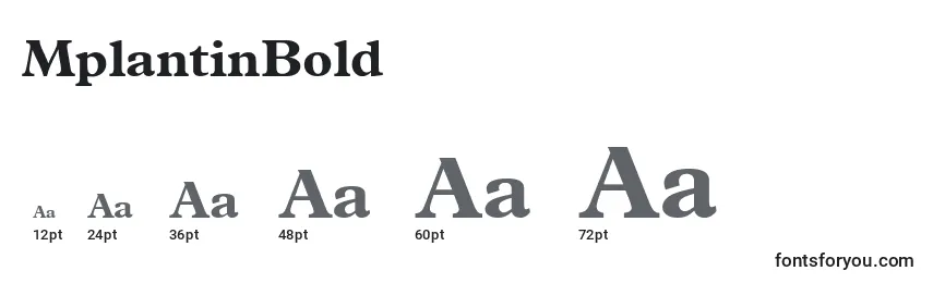 MplantinBold Font Sizes