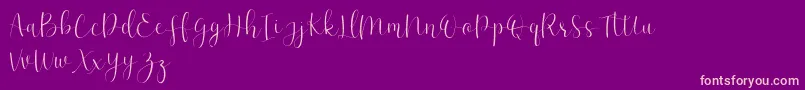EffortTtf Font – Pink Fonts on Purple Background