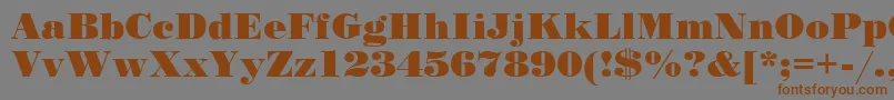 Stand12 Font – Brown Fonts on Gray Background