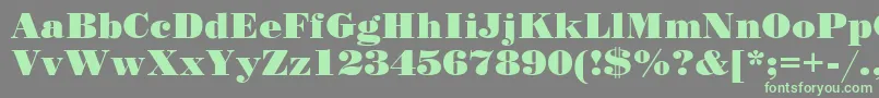 Stand12 Font – Green Fonts on Gray Background